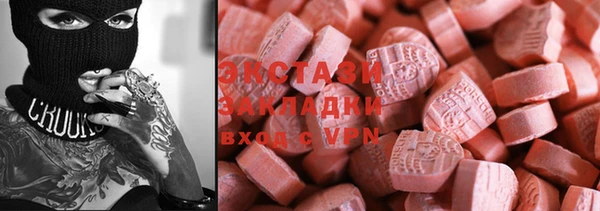 крисы Корсаков