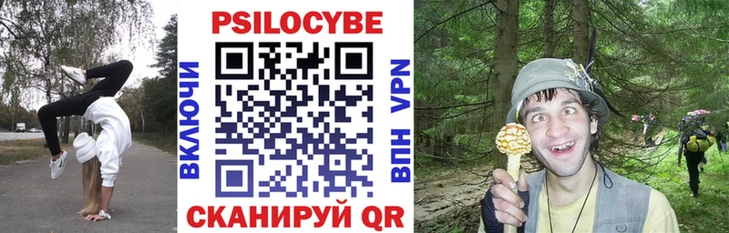 Псилоцибиновые грибы MAGIC MUSHROOMS  Купить где  Мезень 